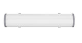 EXPLOSION PROOF-INTRINSICALLY SAFE-BATTEN LED LIGHT-300mm