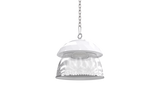 HIGH BAY LIGHTING-NSF FOOD GRADE